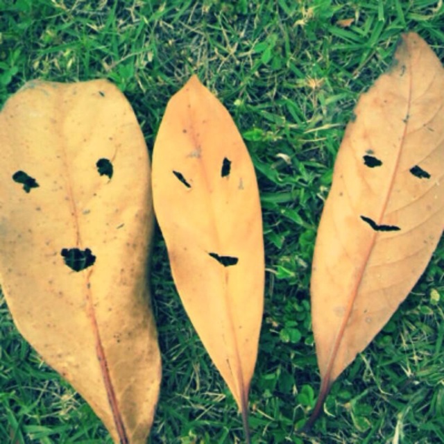 【みんなの投稿】落ち葉で遊ぼう！