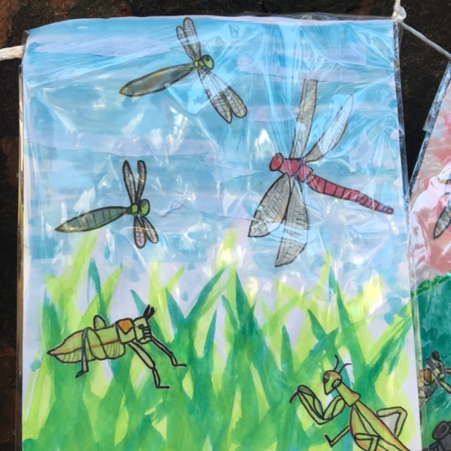 【みんなの投稿】5歳 トンボ