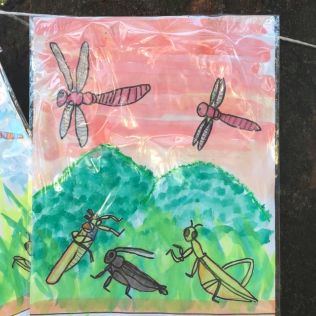 【みんなの投稿】5歳 虫