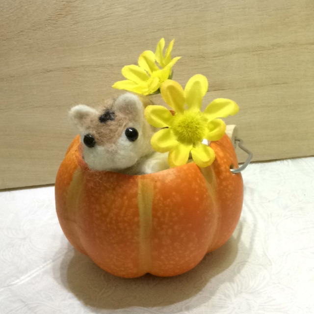 【みんなの投稿】【お部屋の飾り】