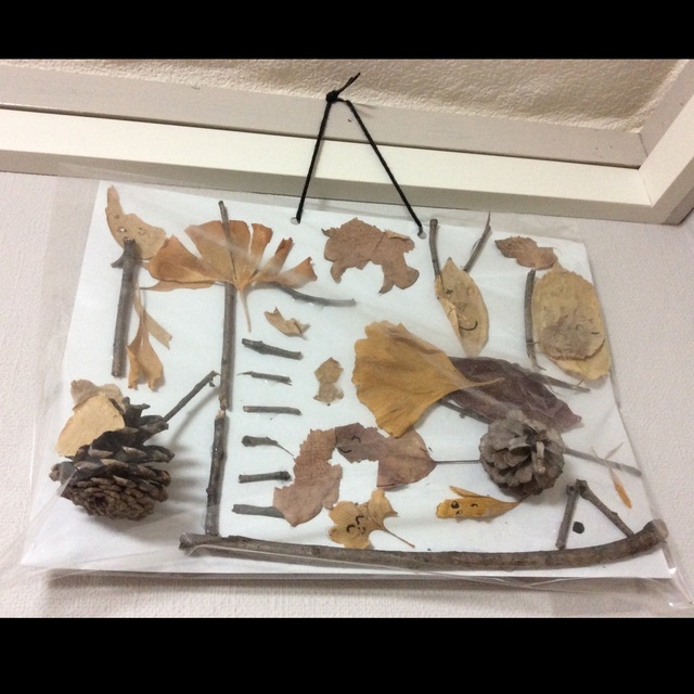 【みんなの投稿】【秋みつけ】