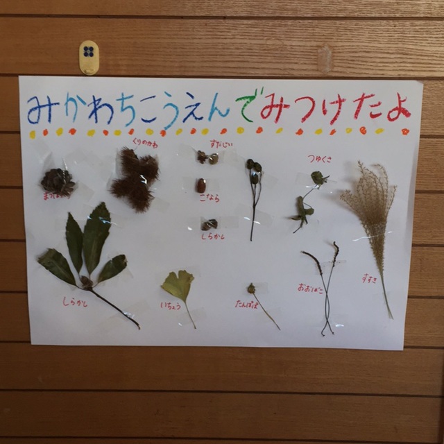 【みんなの投稿】秋の植物たち
