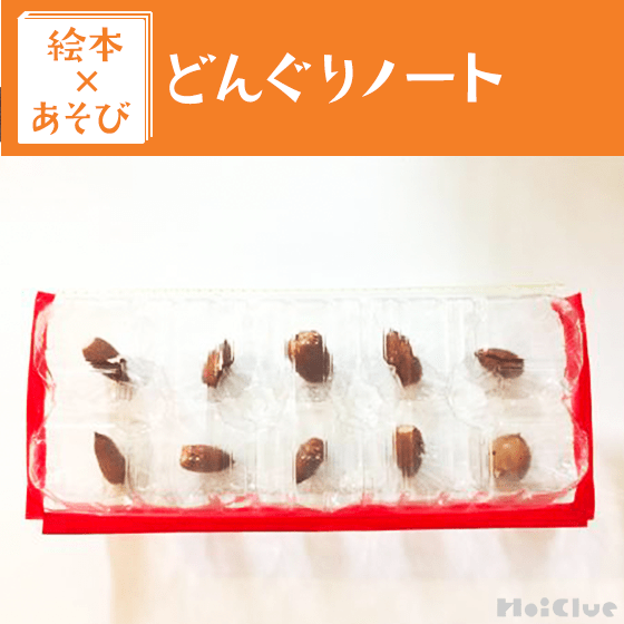 【絵本×あそび】どんぐりぞろえゲーム〜絵本／どんぐりノート〜