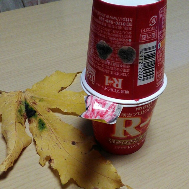 【みんなの投稿】ちょうちんおばけ