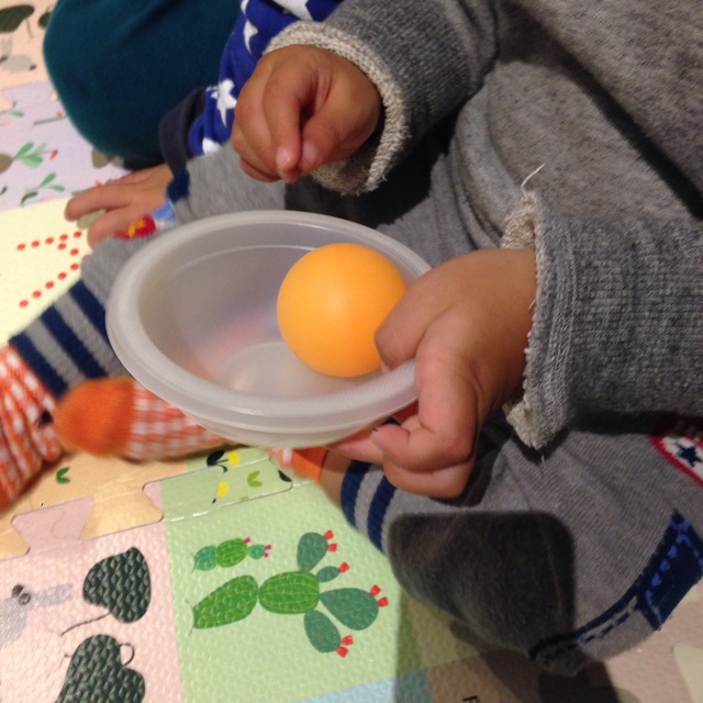 【みんなの投稿】【ころころ♪ピンポン玉】