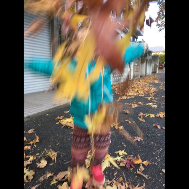 【みんなの投稿】落ち葉シャワー！