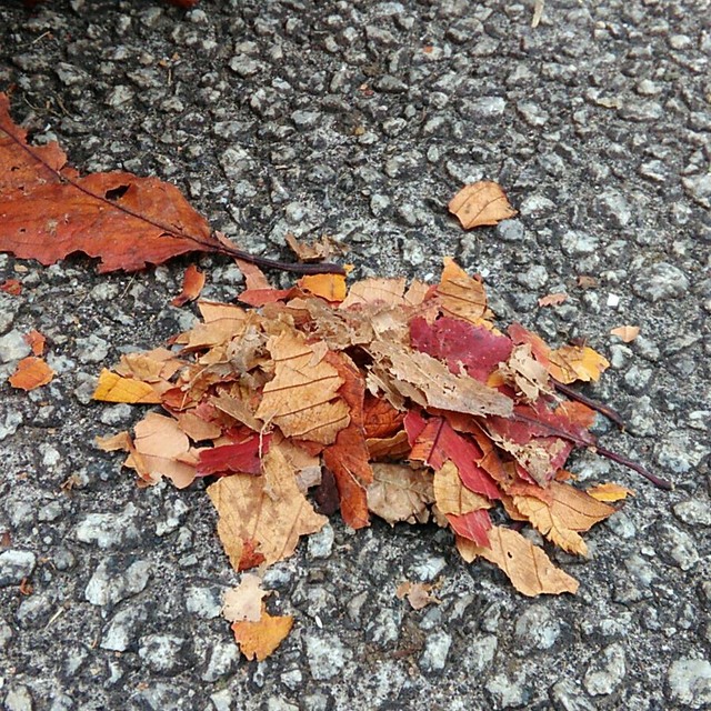 【みんなの投稿】ありさんのベッド