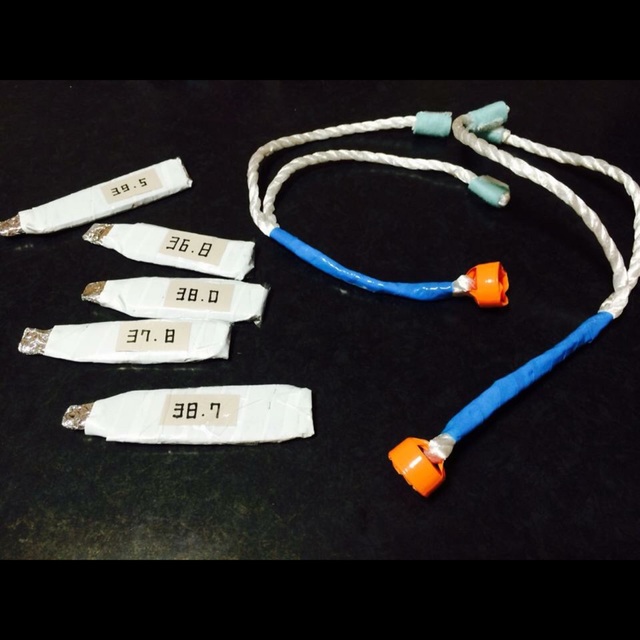 【みんなの投稿】『お医者さんごっこ』