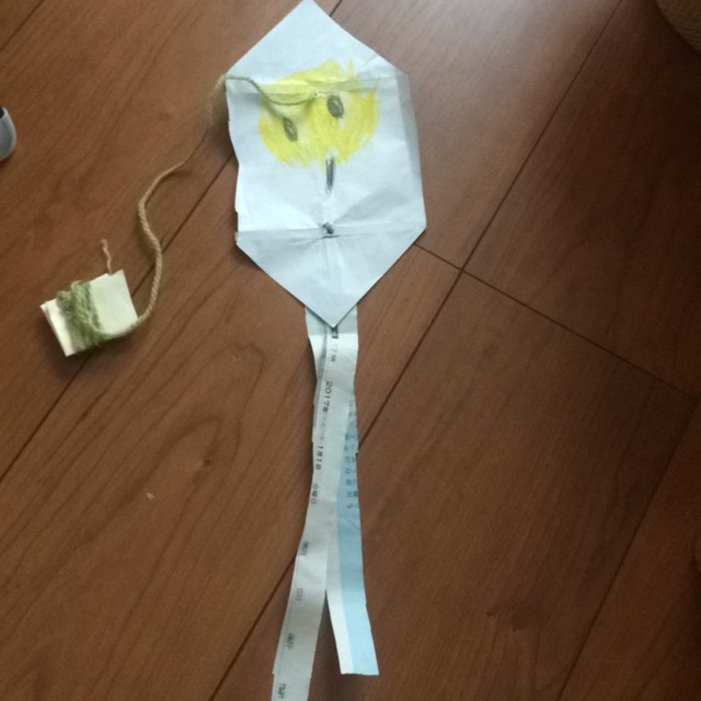 【みんなの投稿】鳥の凧揚げ