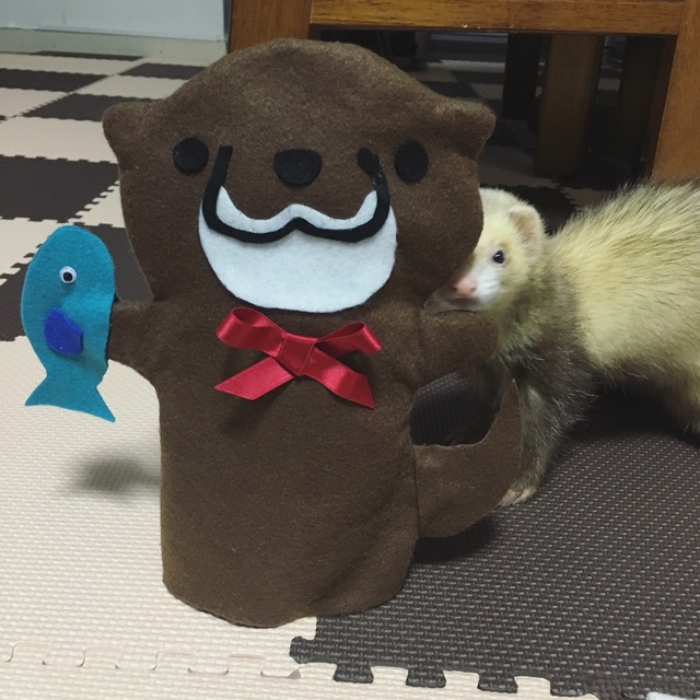 【みんなの投稿】カワウソパペット