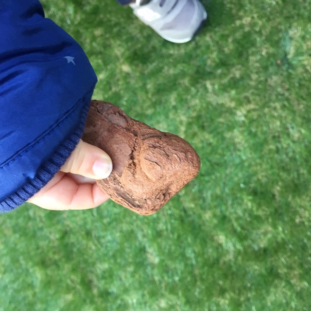 【みんなの投稿】庭のウッドチップを手にして「ひつじ」と例えた！