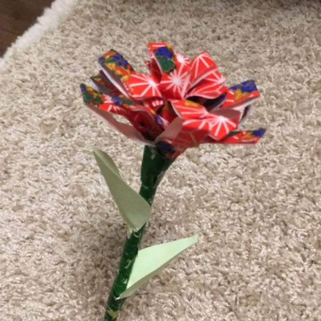 【みんなの投稿】【母の日カーネーション】