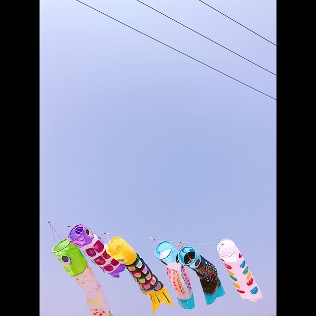 【みんなの投稿】各クラスの大きなこいのぼり共同制作