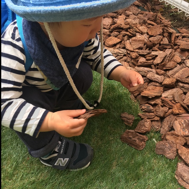 【みんなの投稿】戸外遊び「ひつじ」に見えるらしい