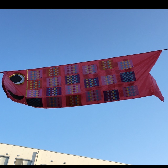 【みんなの投稿】(画用紙で編み込み鯉のぼり)