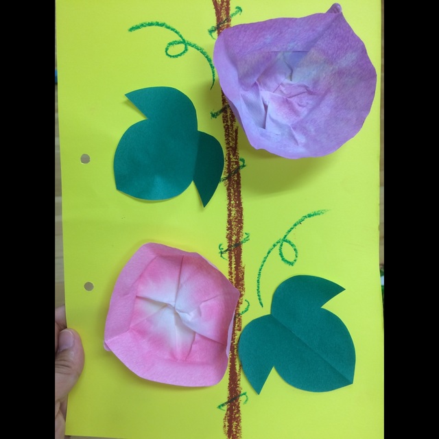 【みんなの投稿】【朝顔】