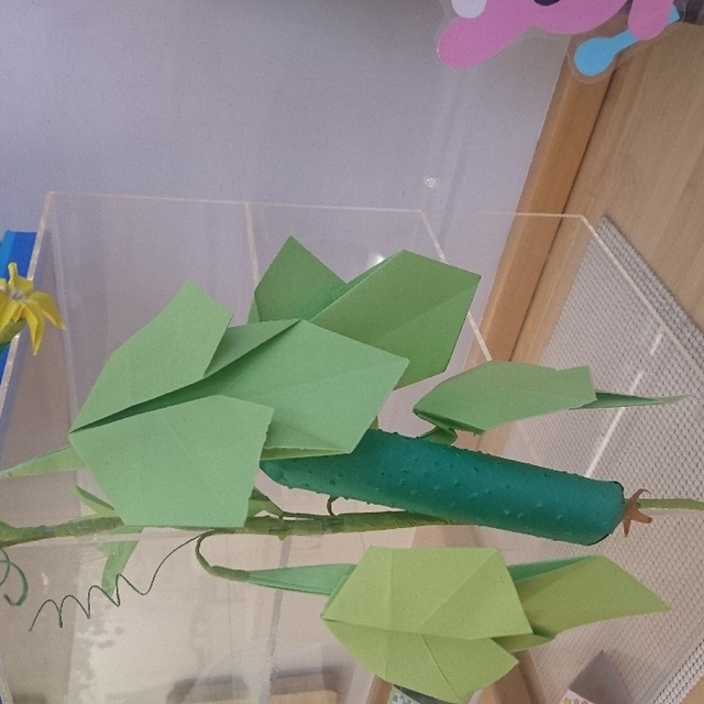 【みんなの投稿】絵本を見本にきゅうり