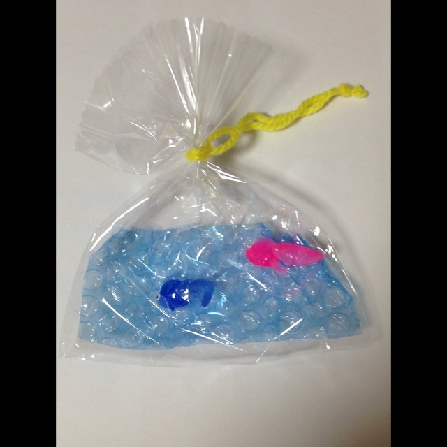 【みんなの投稿】【金魚すくい】