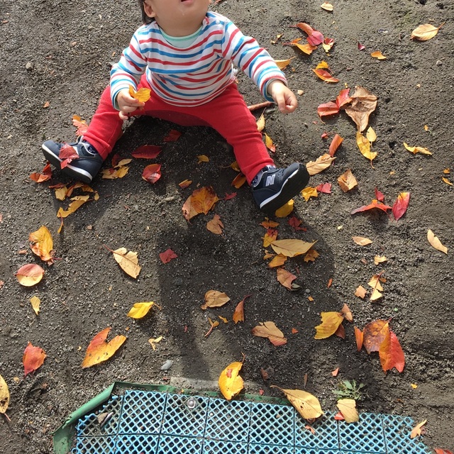 【みんなの投稿】落ち葉遊び