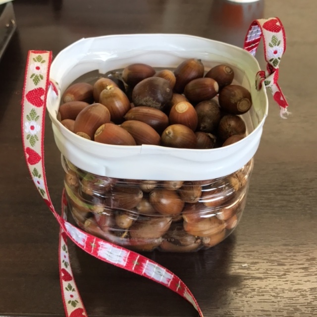 【みんなの投稿】どんぐり拾いに作りました。