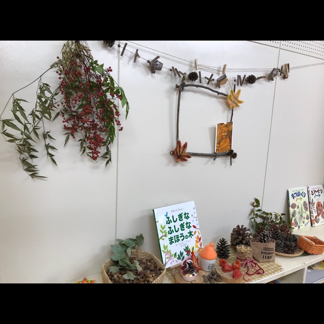 【みんなの投稿】木の実 自然物