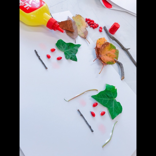 【みんなの投稿】【植物を使って顔を作ろう】