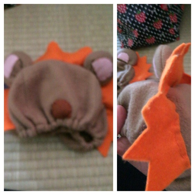 【みんなの投稿】衣装『ライオンの帽子』