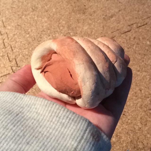 【みんなの投稿】【美味しそうなチョココロネ】