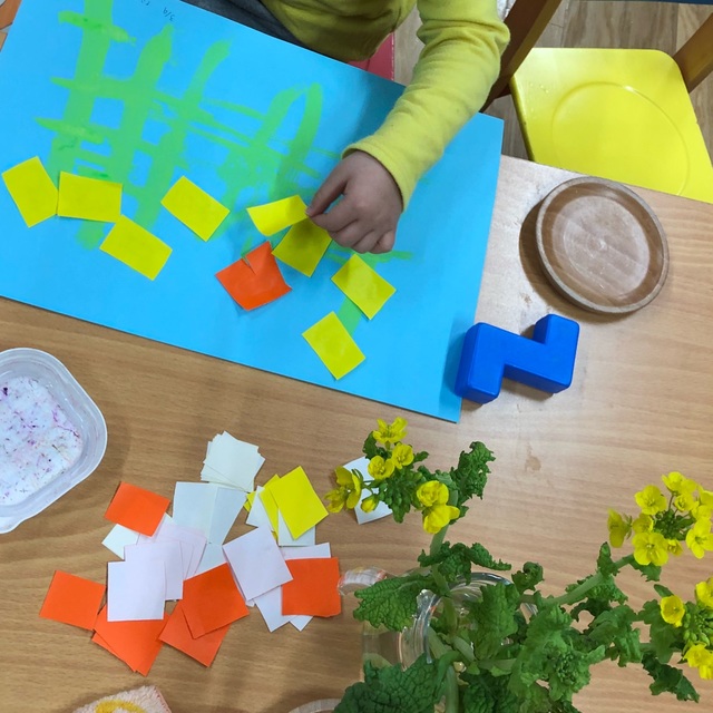 【みんなの投稿】菜の花