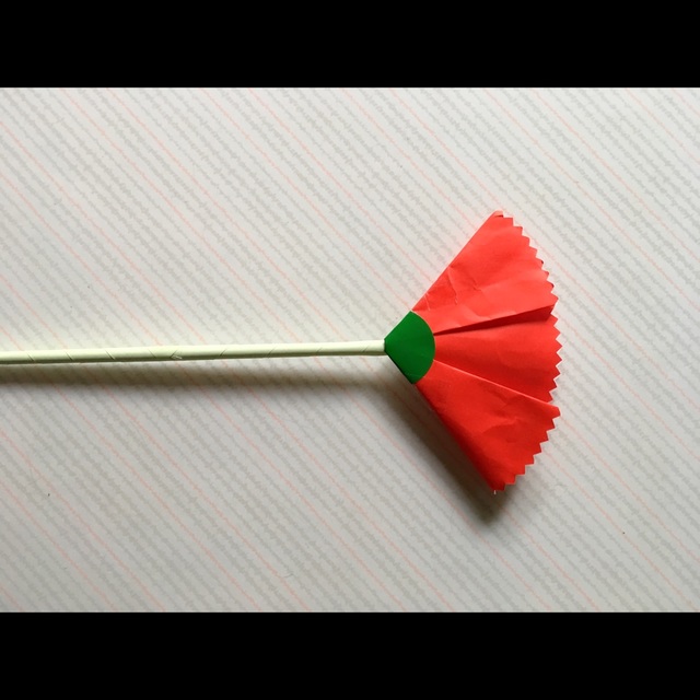 【みんなの投稿】カーネーション 【みんなの投稿】カーネーション