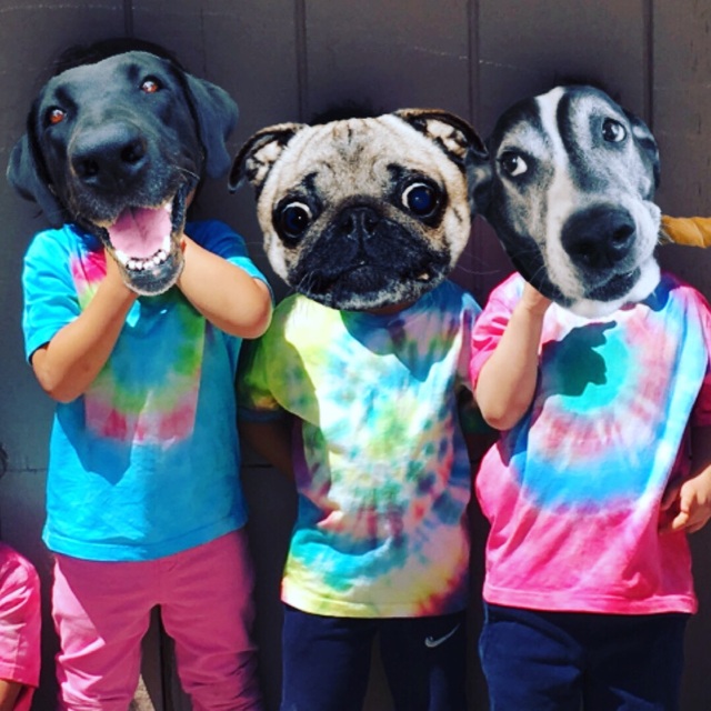 【みんなの投稿】Tie dye project