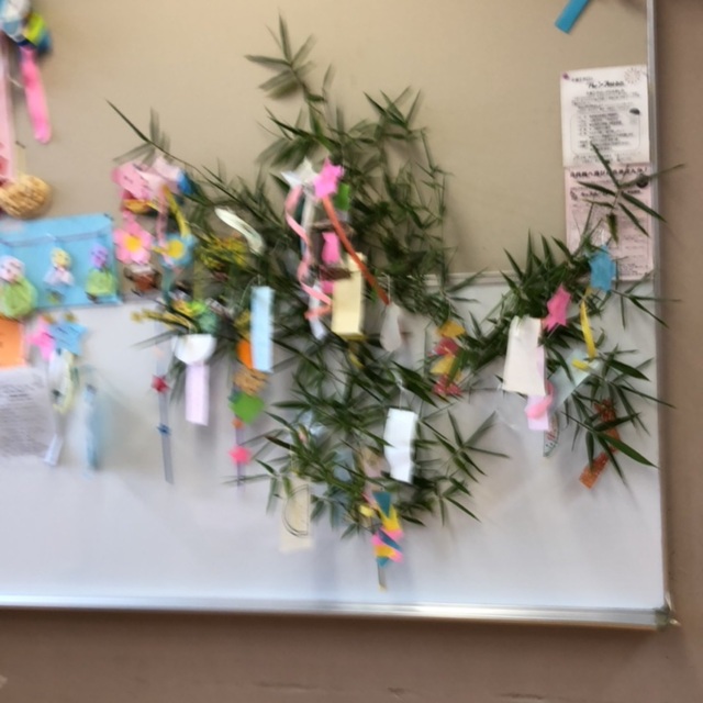 【みんなの投稿】七夕