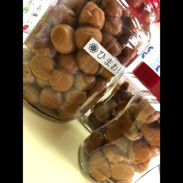 【みんなの投稿】梅干し作り4歳児