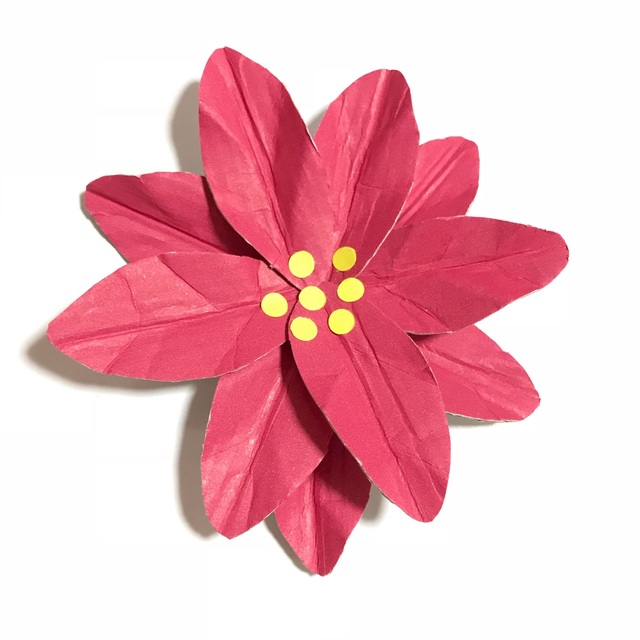 【みんなの投稿】カラー段ボールでポインセチア