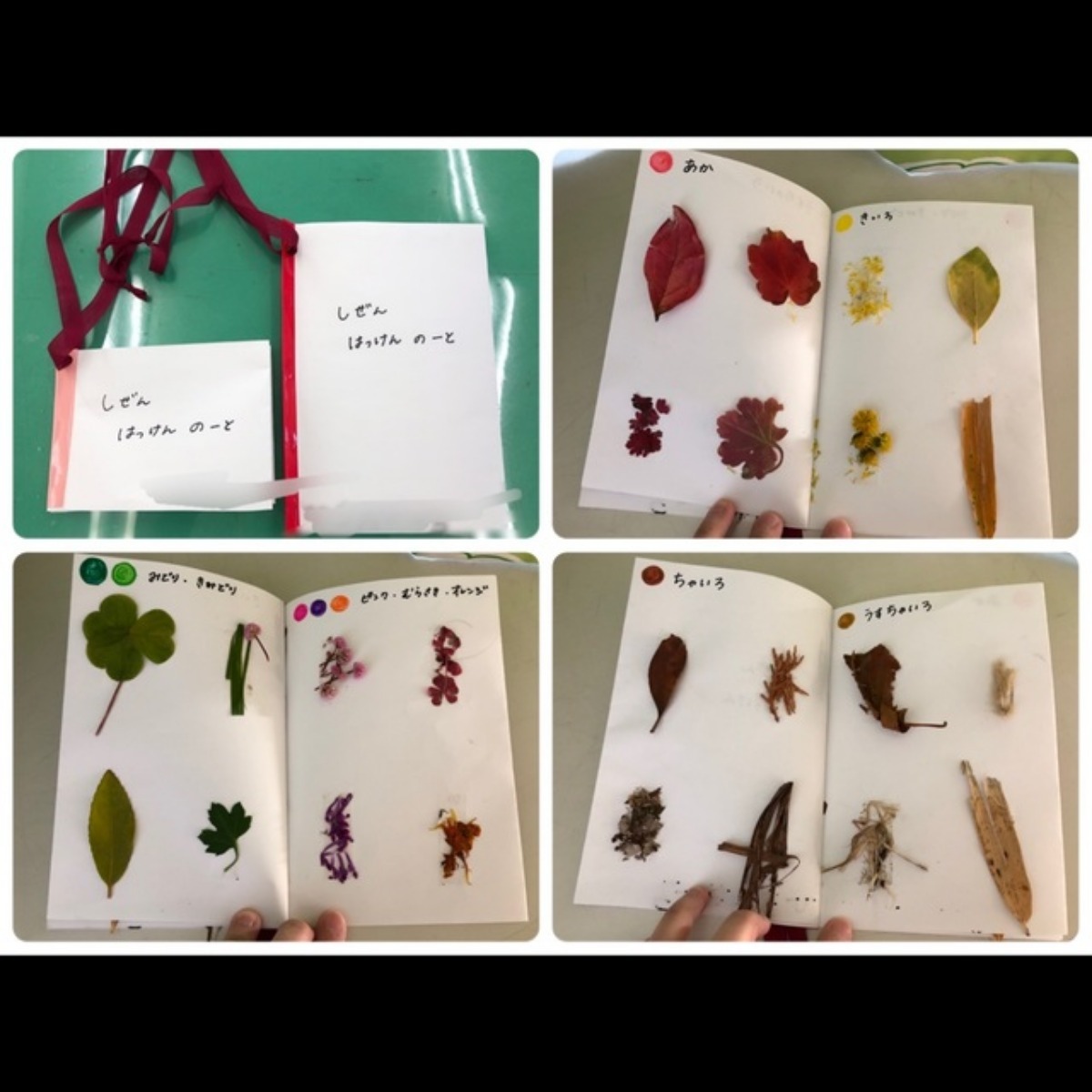【みんなの投稿】自然発見ノート