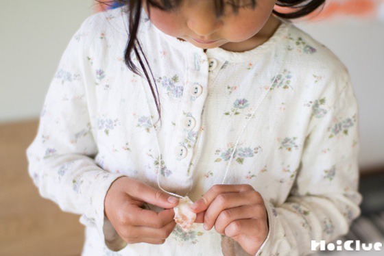 【自然あそび】貝がらネックレス〜素材／貝がら〜