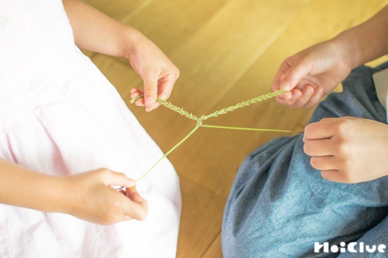 【自然遊び】オオバコずもうで勝負！〜素材／オオバコ〜