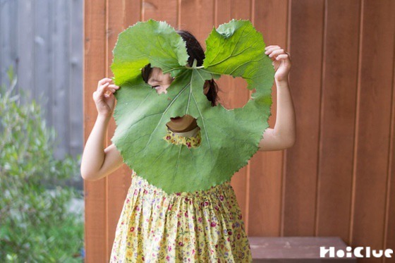 【自然遊び】蕗の葉でオバケお面！〜素材／蕗の葉〜