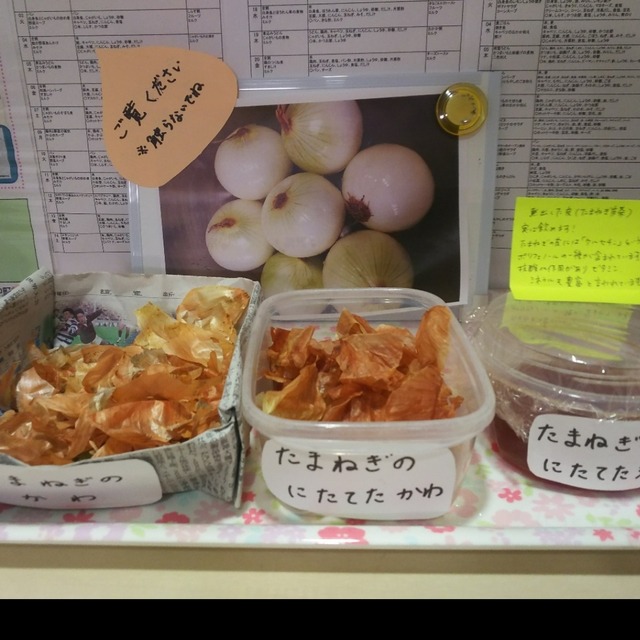 【みんなの投稿】食育として玉ねぎの皮剥き