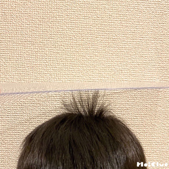下敷きde静電気遊び〜髪が上にのびちゃうおもしろ実験遊び〜
