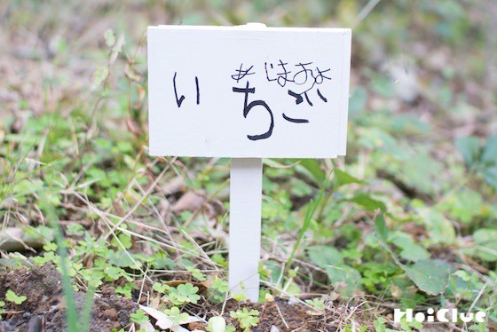 【工作コラム】植物の看板を作ろう！〜素材／木片〜