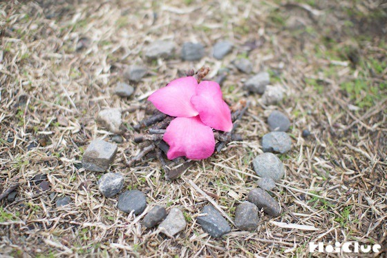 【自然遊び】小さな「焚き火」を作ってみよう〜素材／小枝〜