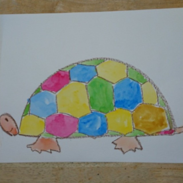 【みんなの投稿】おしゃれなカメ🐢さん❗