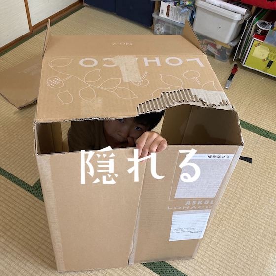 「隠れる」〜こどもの姿（興味・関心）から楽しむ〜