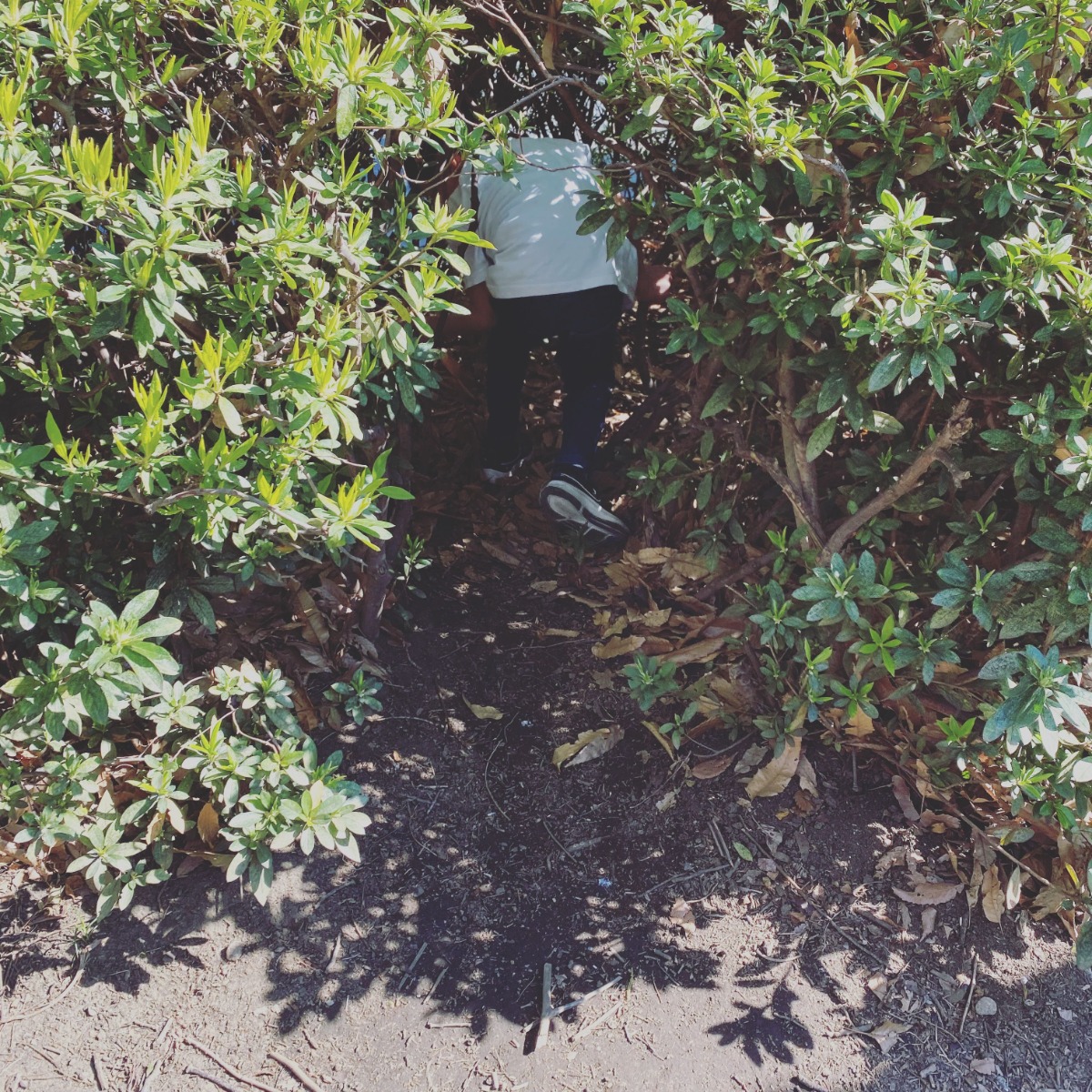 これまでに過ごしたことのない春と、2020年度のほいくる。