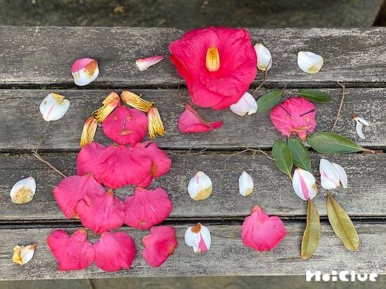 【自然遊び】公園にあるもので「ヒト」を作ってみよう！〜素材／公園や園庭に落ちている自然素材〜