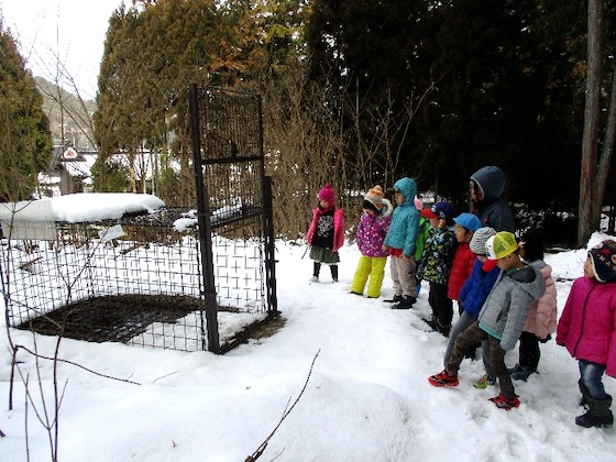 「かわいそう…」里に暮らし、里で生きる同じ命として感じた想い 〜第55回「わたしの保育記録」佳作〜