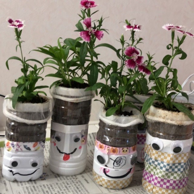 【みんなの投稿】ペットボトルにお花 【みんなの投稿】ペットボトルにお花