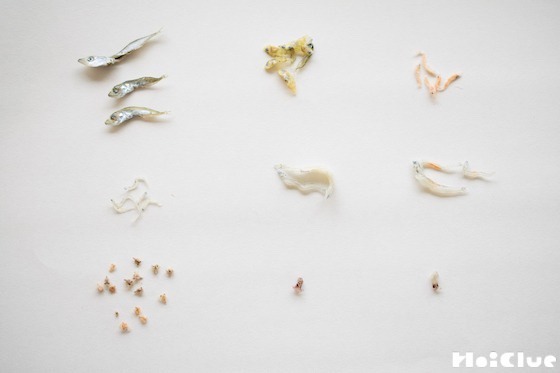 【自然遊び】「チリメンモンスター」を探してみよう！〜素材／ちりめんじゃこ〜