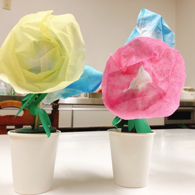 【みんなの投稿】朝顔作り